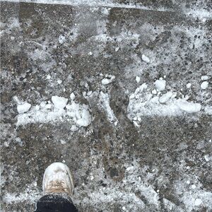 Meet your Posher, Jose